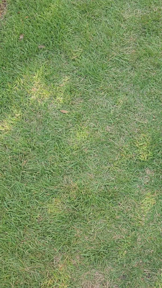 Reliable landscape design for homes across Buford, GA - New Harvest LawnCare & Solutions