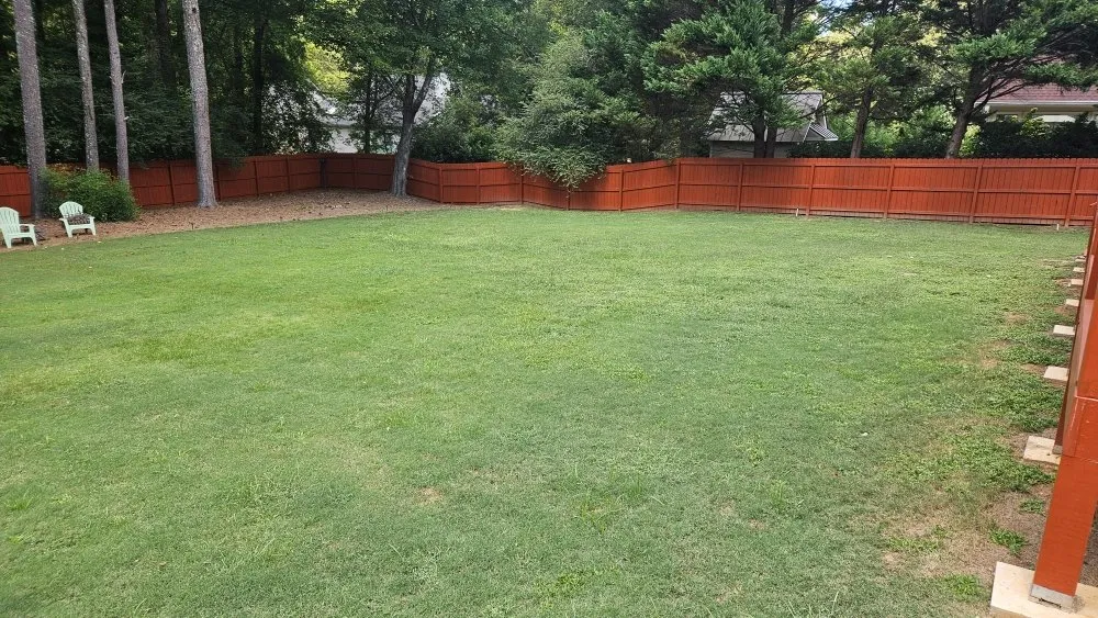 Professional yard cleanup service in Buford, GA - New Harvest LawnCare & Solutions