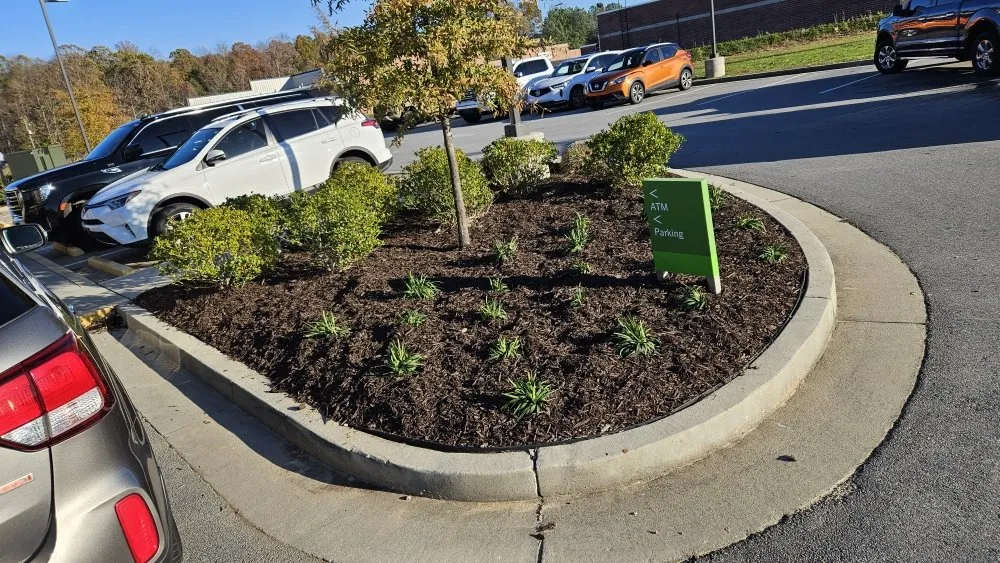 Trusted lawn mowing service with custom design in Buford, GA by New Harvest LawnCare & Solutions