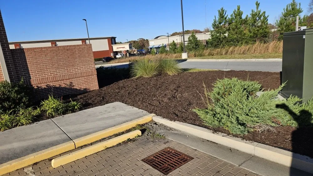 Affordable lawn care service in Buford, GA - New Harvest LawnCare & Solutions