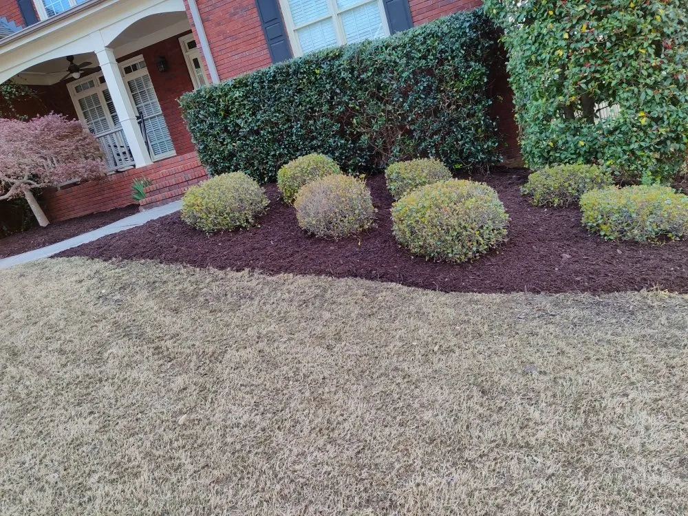 Professional outdoor landscaping for year-round maintenance in Buford, GA by New Harvest LawnCare & Solutions