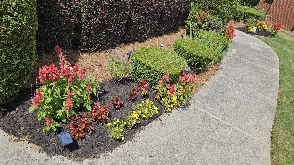 Expert outdoor landscaping for year-round maintenance across Buford, GA - New Harvest LawnCare & Solutions
