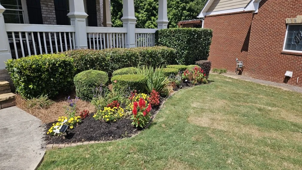 Professional landscape installation in Buford, GA - New Harvest LawnCare & Solutions