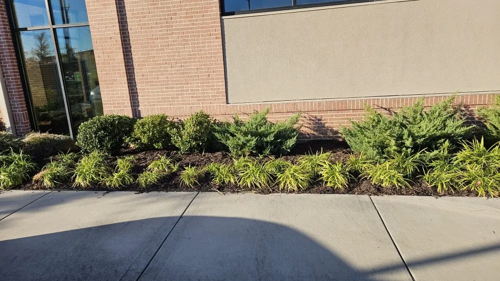 Custom outdoor landscaping experts serving Buford, GA - New Harvest LawnCare & Solutions