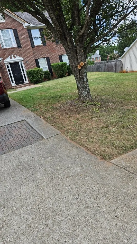 Custom yard maintenance in Buford, GA - New Harvest LawnCare & Solutions