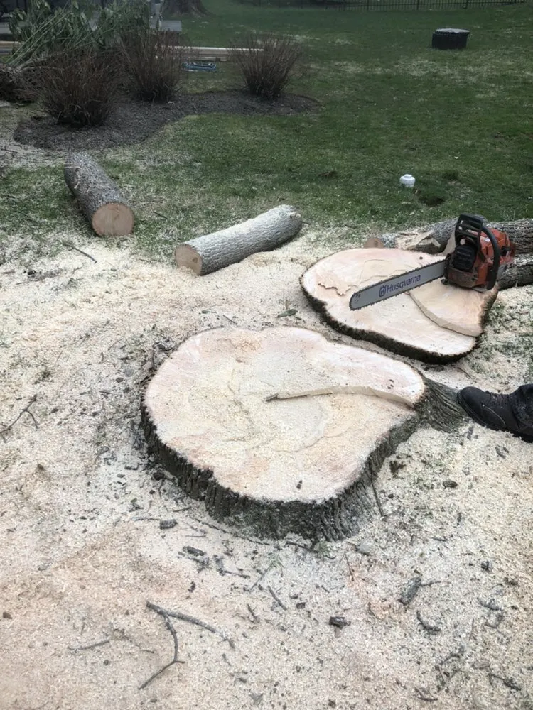 Local residential landscaping in Media, PA - New Heights Tree Service