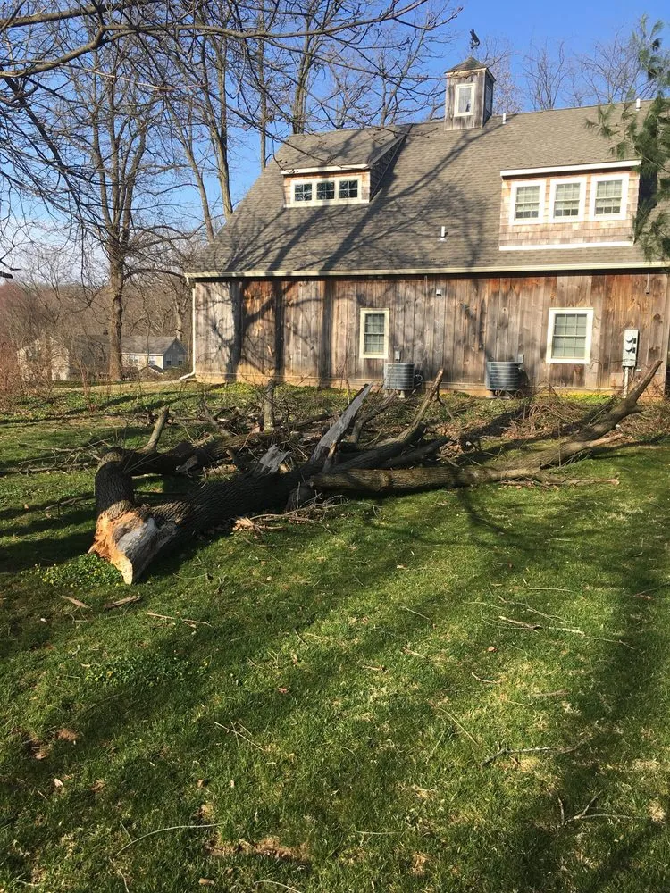 Professional garden landscaping for homes in Media, PA by New Heights Tree Service