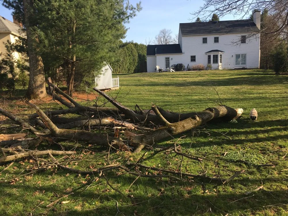 Custom yard cleanup service experts serving Media, PA - New Heights Tree Service