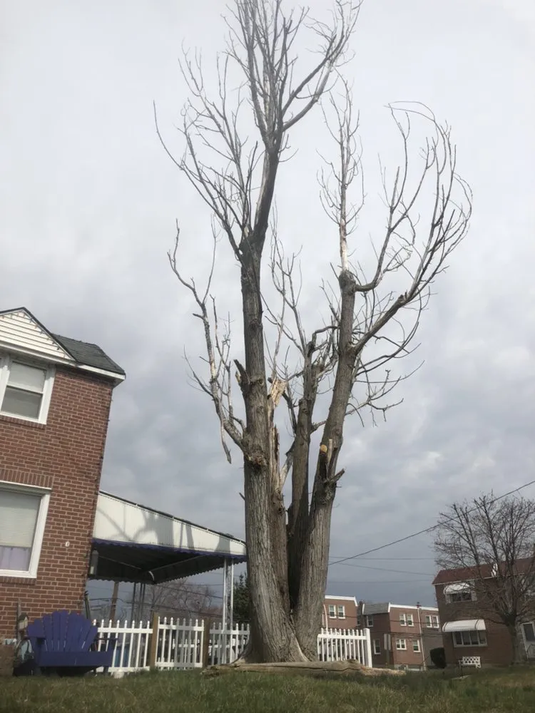 Professional garden landscaping experts serving Media, PA - New Heights Tree Service