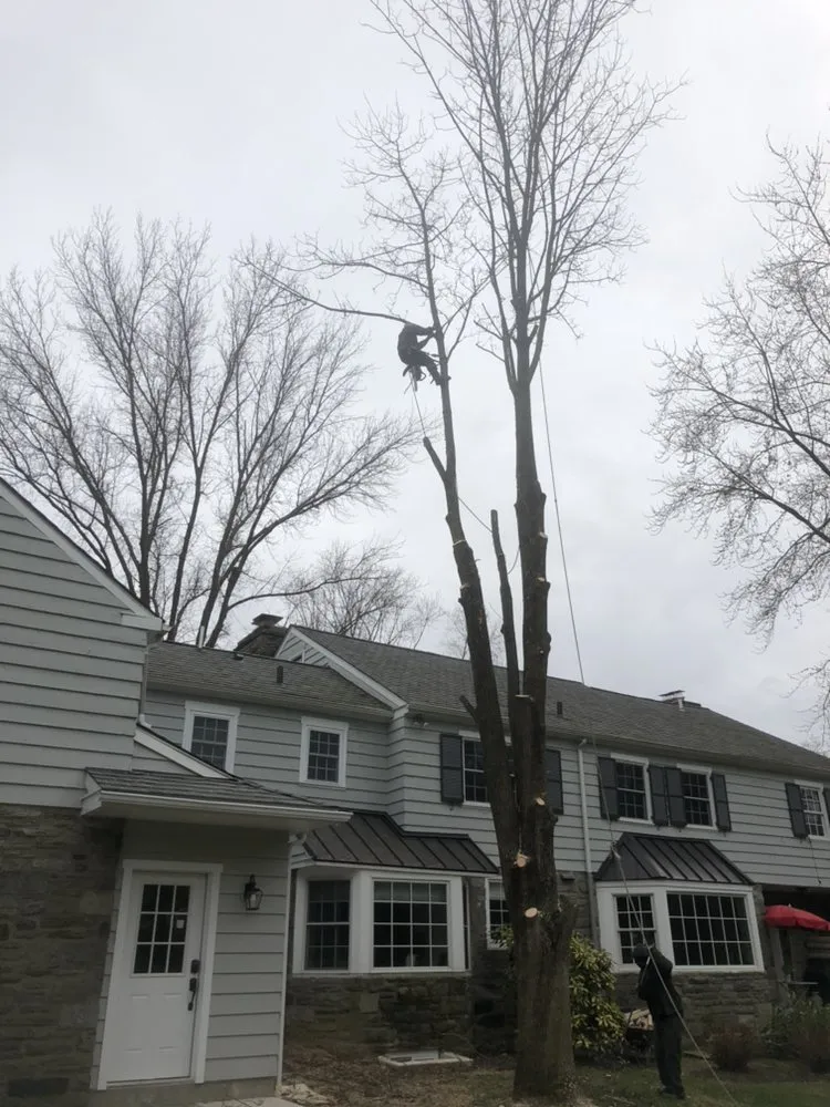 Custom outdoor landscaping experts serving Media, PA - New Heights Tree Service