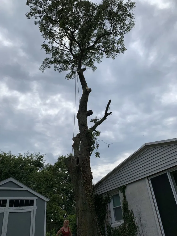 Expert landscape installation experts serving Media, PA - New Heights Tree Service