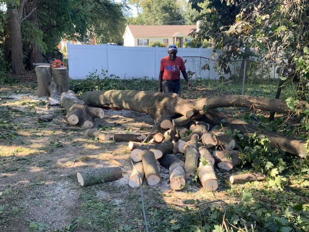 Professional garden landscaping in Media, PA - New Heights Tree Service