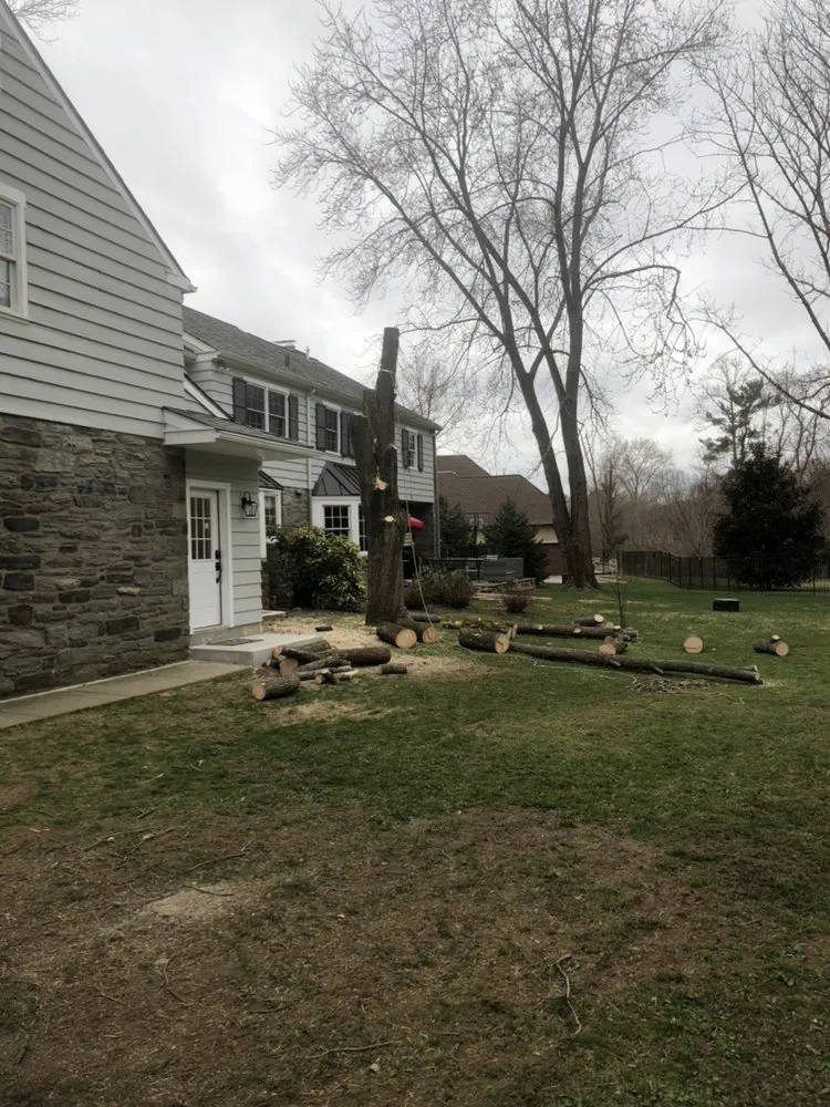 Reliable landscape installation experts serving Media, PA - New Heights Tree Service