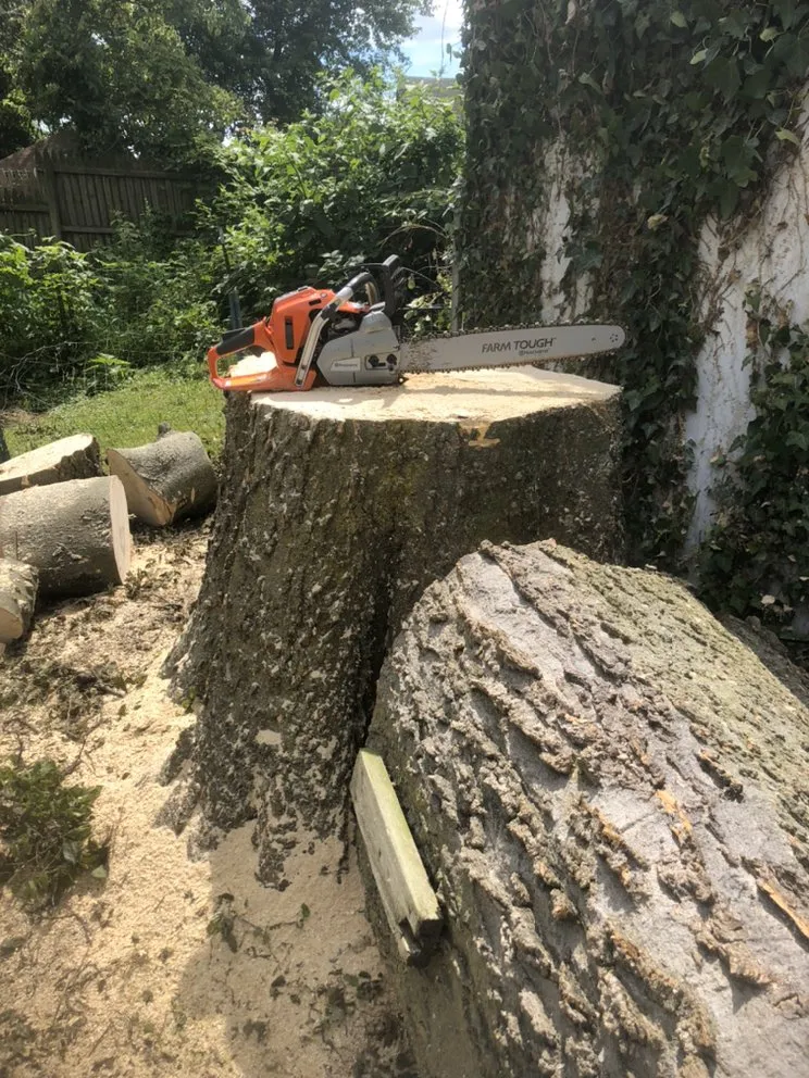 Professional outdoor landscaping in Media, PA by New Heights Tree Service