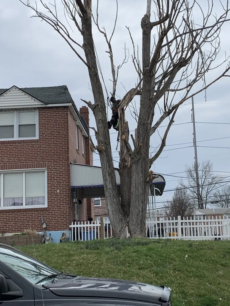 Custom garden landscaping experts serving Media, PA - New Heights Tree Service