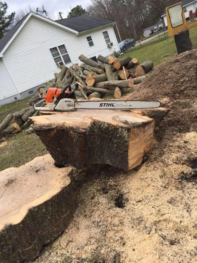 Reliable landscape design for year-round maintenance across Media, PA - New Heights Tree Service