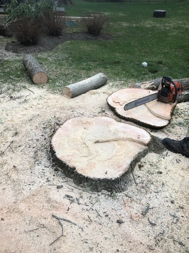 Trusted yard maintenance for beautiful yards across Media, PA - New Heights Tree Service