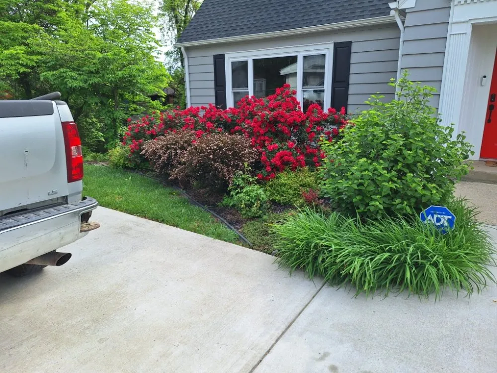 Expert yard cleanup service in Barboursville, WV - New Home Property Management