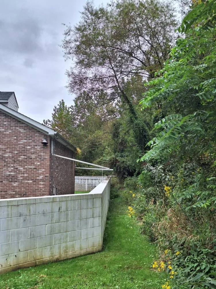 Local lawn mowing service experts serving Barboursville, WV - New Home Property Management