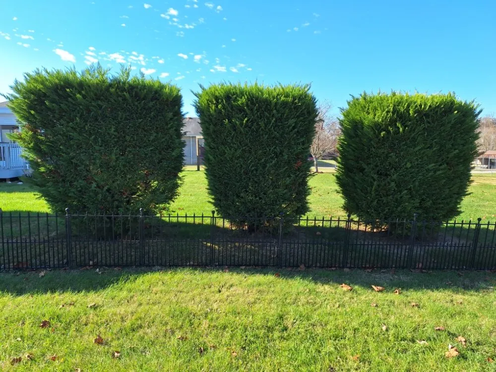 Custom outdoor landscaping for beautiful yards across Barboursville, WV - New Home Property Management