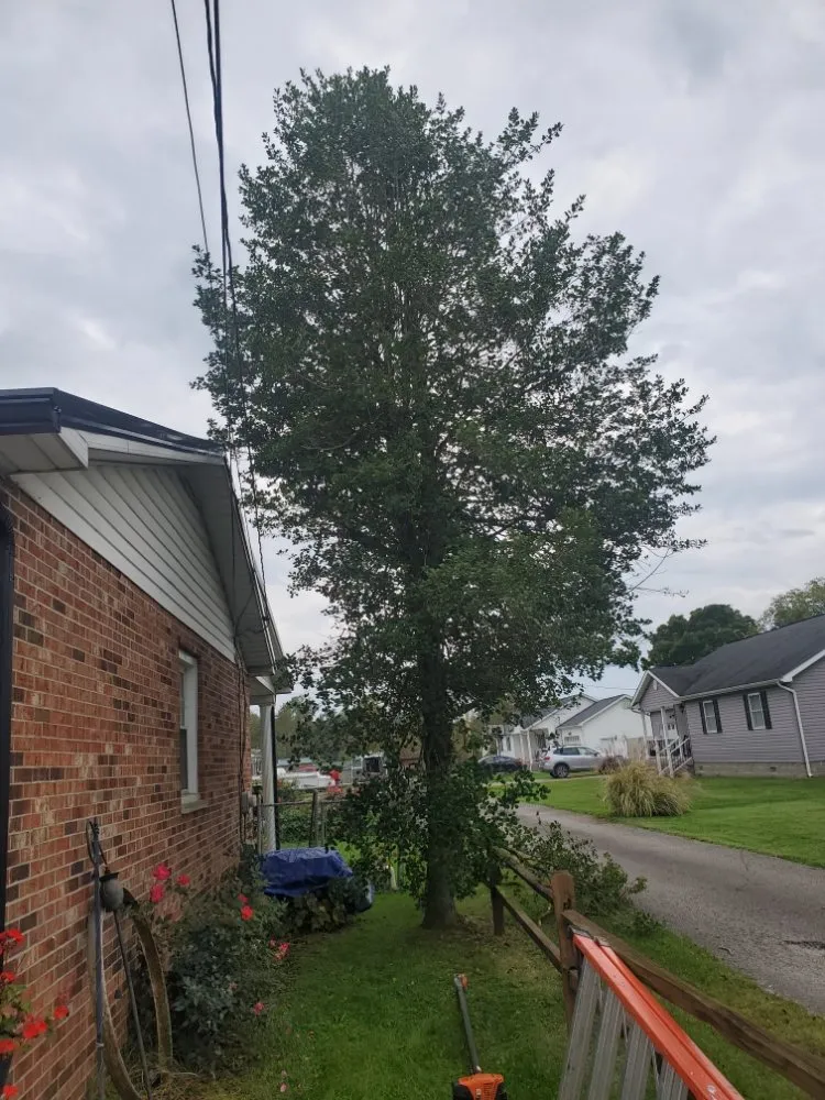 Professional outdoor landscaping near you across Barboursville, WV - New Home Property Management