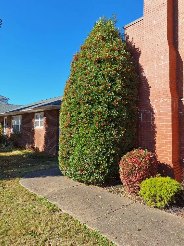 Expert yard cleanup service for year-round maintenance in Barboursville, WV by New Home Property Management