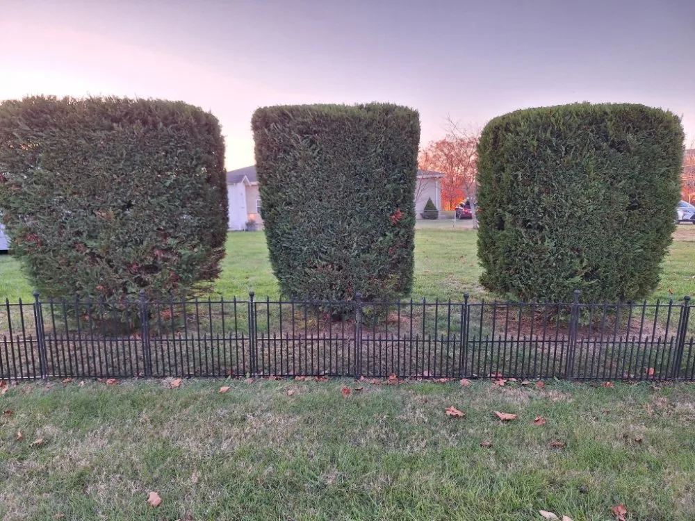 Affordable landscape installation near you in Barboursville, WV by New Home Property Management