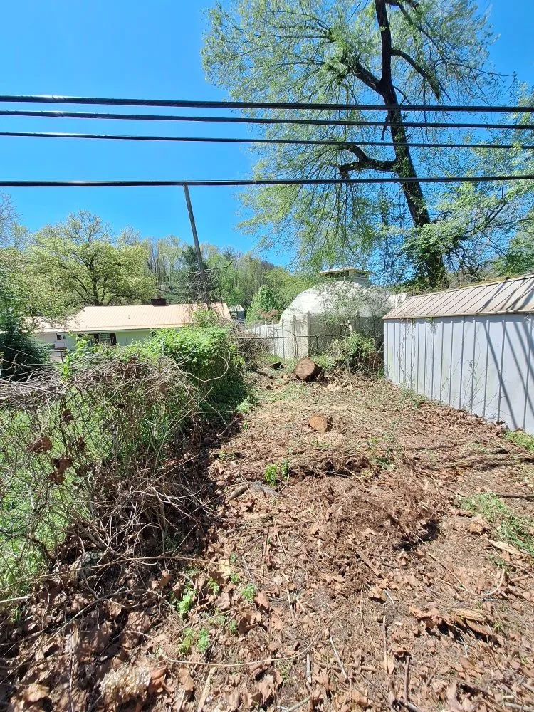 Custom landscape design for outdoor upgrades across Barboursville, WV - New Home Property Management