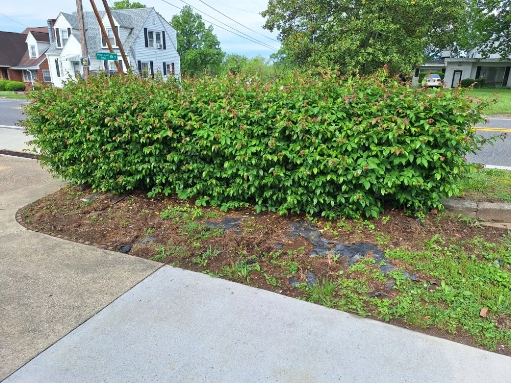 Local landscape design in Barboursville, WV by New Home Property Management