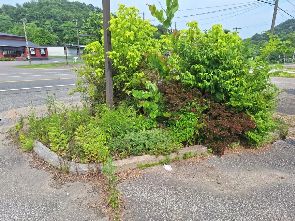 Custom outdoor landscaping experts serving Barboursville, WV - New Home Property Management