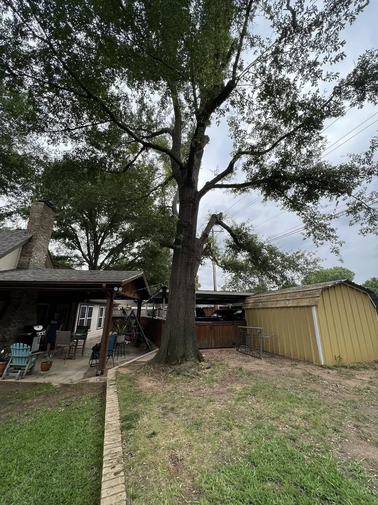 Expert landscape installation near you in Pilot Point, TX by New Horizon Design & Build