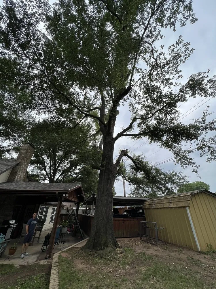 Custom lawn mowing service experts serving Pilot Point, TX - New Horizon Design & Build