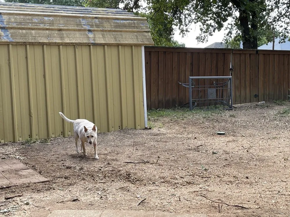 Local outdoor landscaping for beautiful yards across Pilot Point, TX - New Horizon Design & Build