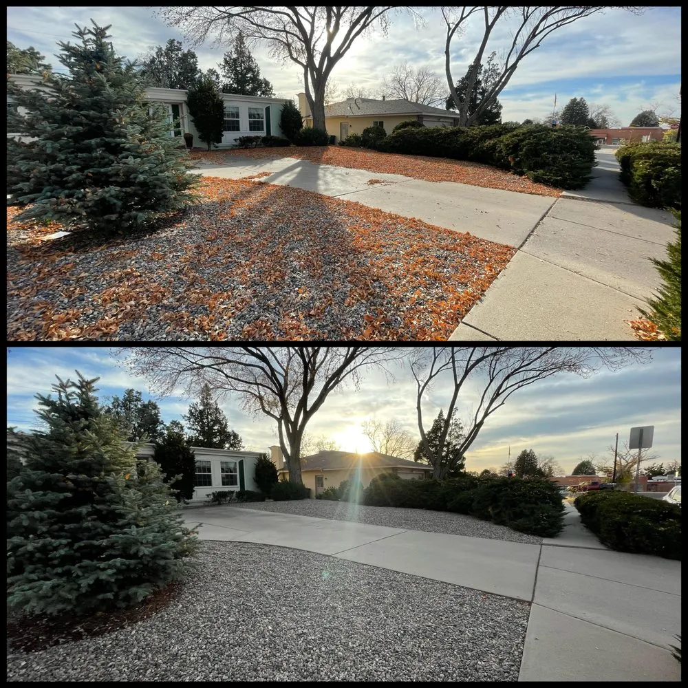 Professional garden landscaping for year-round maintenance across Albuquerque, NM - New Horizon Landscape