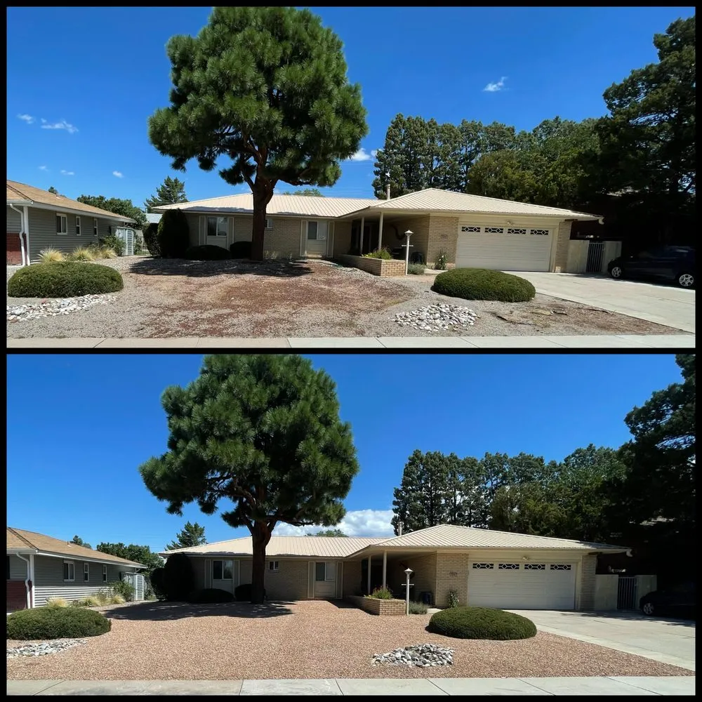 Local landscaping services in Albuquerque, NM by New Horizon Landscape