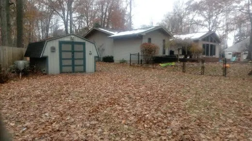 Trusted lawn care service in Lansing, MI - New Horizon Landscapes