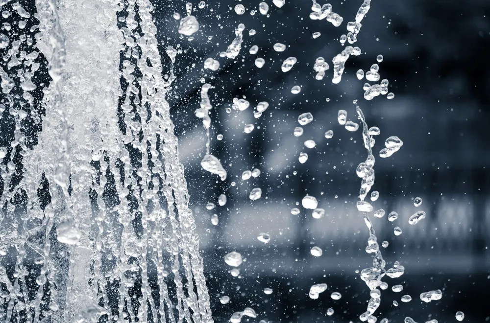 Local garden landscaping in Hayward, CA - New Horizon Landscaping