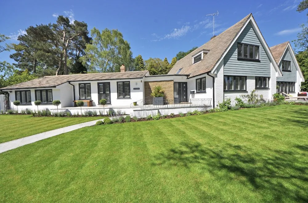 Custom yard cleanup service for year-round maintenance in Hayward, CA by New Horizon Landscaping