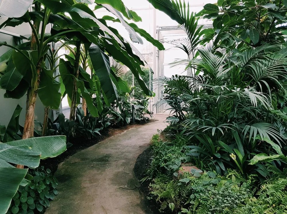 Trusted lawn care service for outdoor upgrades in Hayward, CA by New Horizon Landscaping