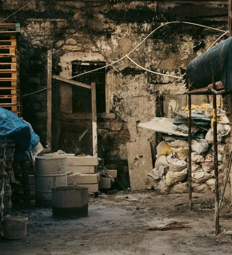 Top-rated lawn care service in Hayward, CA by New Horizon Landscaping