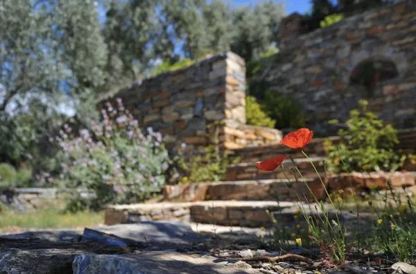 New Horizon Landscaping Logo