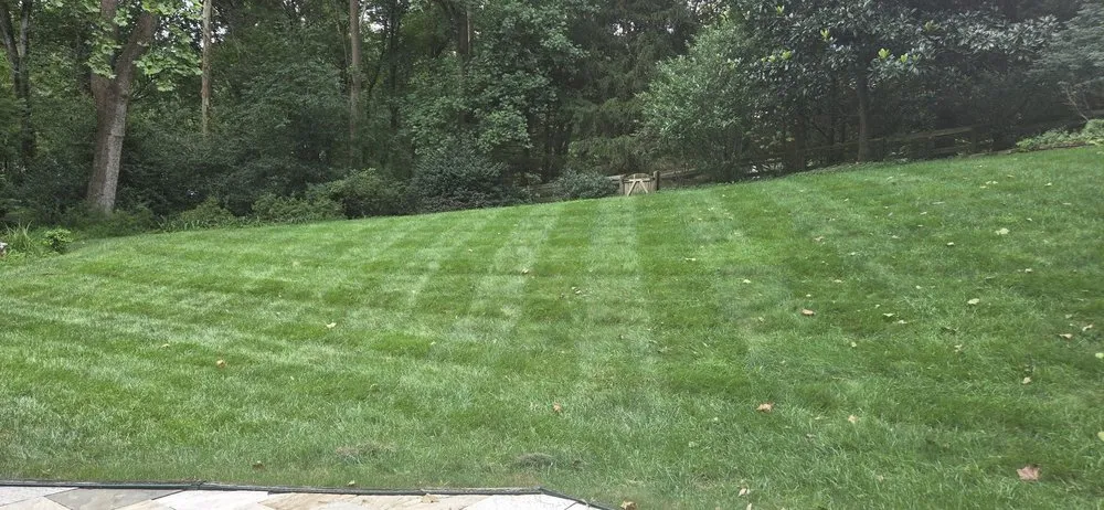 Professional residential landscaping for outdoor upgrades across Sterling, VA - New Horizon Landscaping