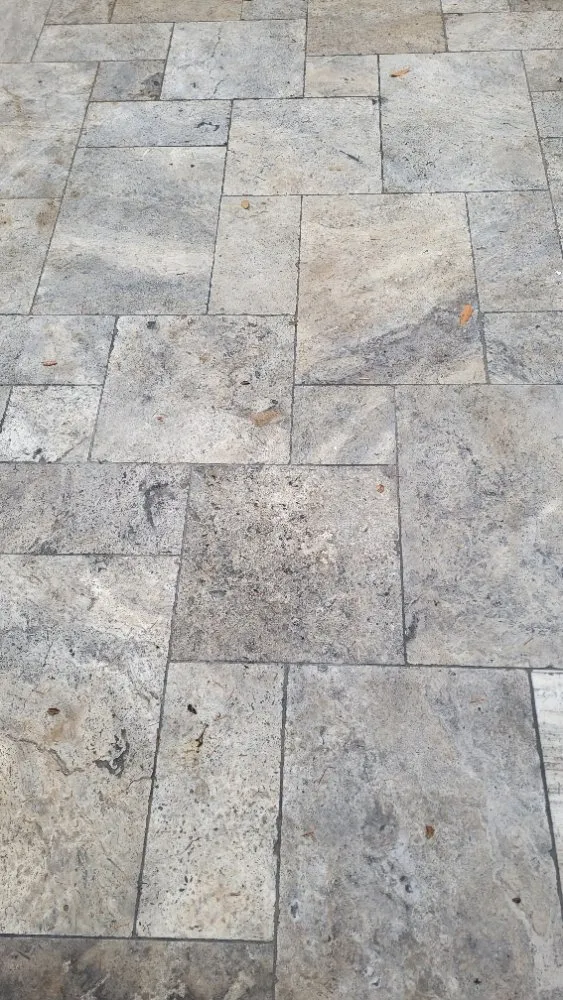 Professional lawn care service in Petaluma, CA by New Horizon Lanscape