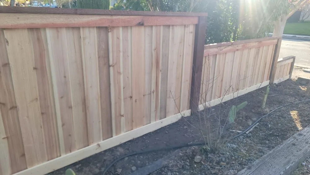 Local garden landscaping for outdoor upgrades across Petaluma, CA - New Horizon Lanscape