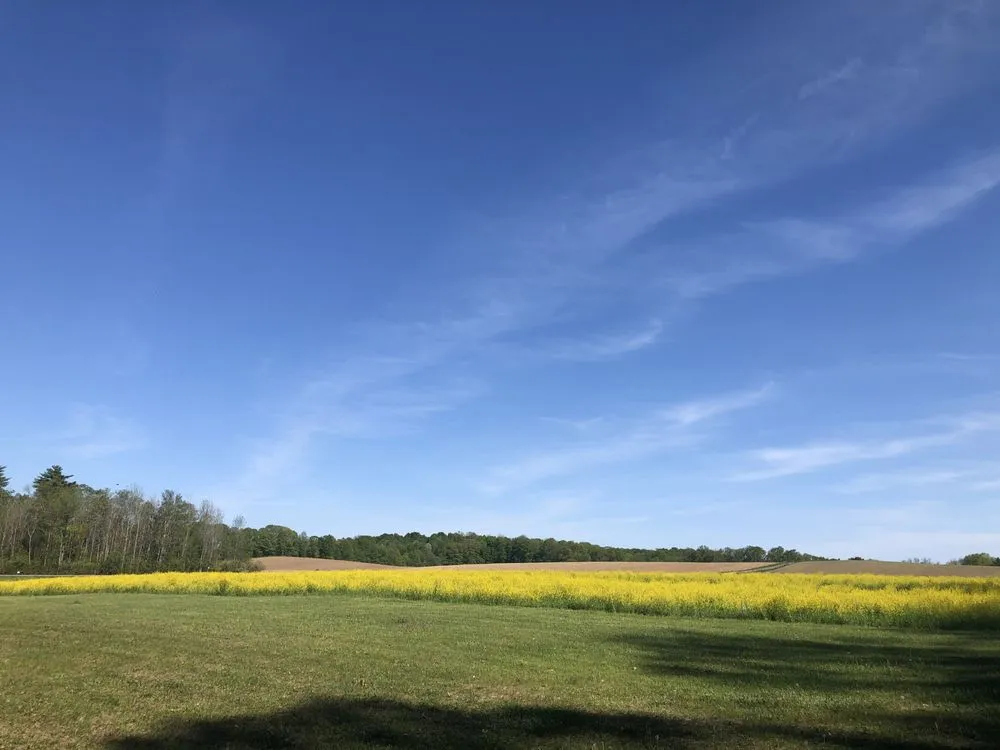 Reliable garden landscaping experts serving Gloversville, NY - New Horizon Lawn Care & Landscaping