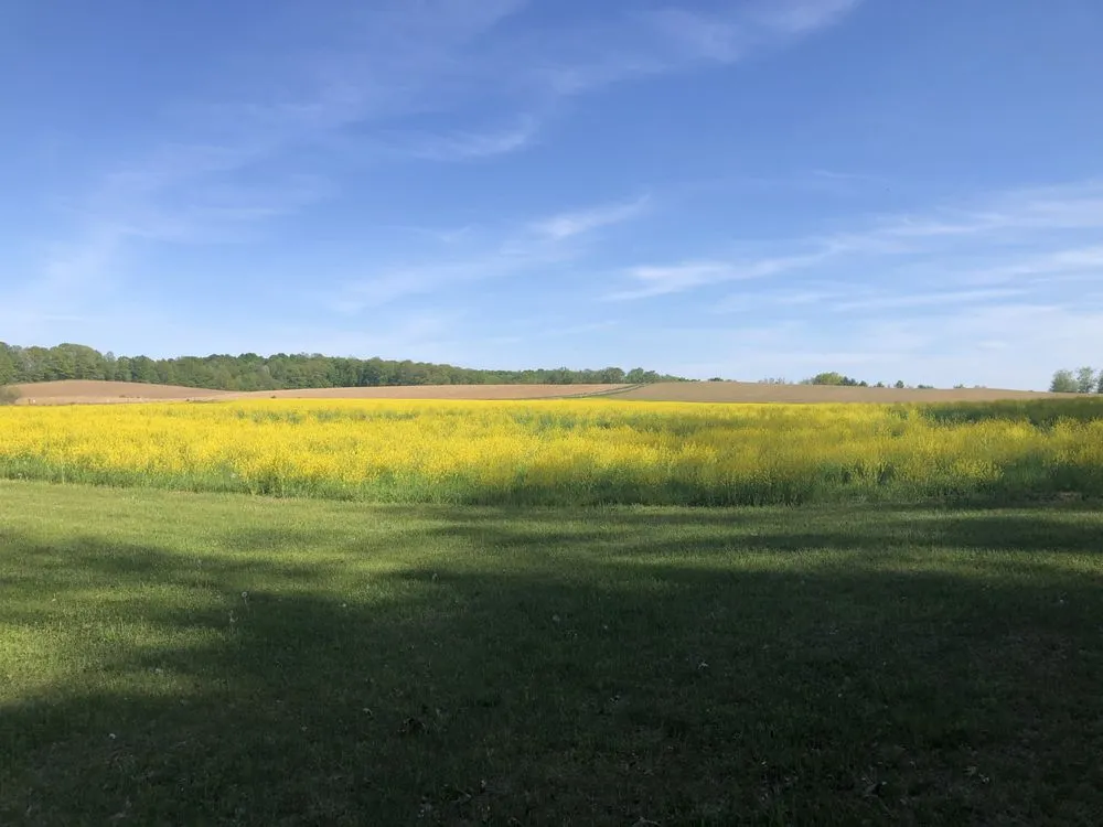 Professional landscape installation experts serving Gloversville, NY - New Horizon Lawn Care & Landscaping