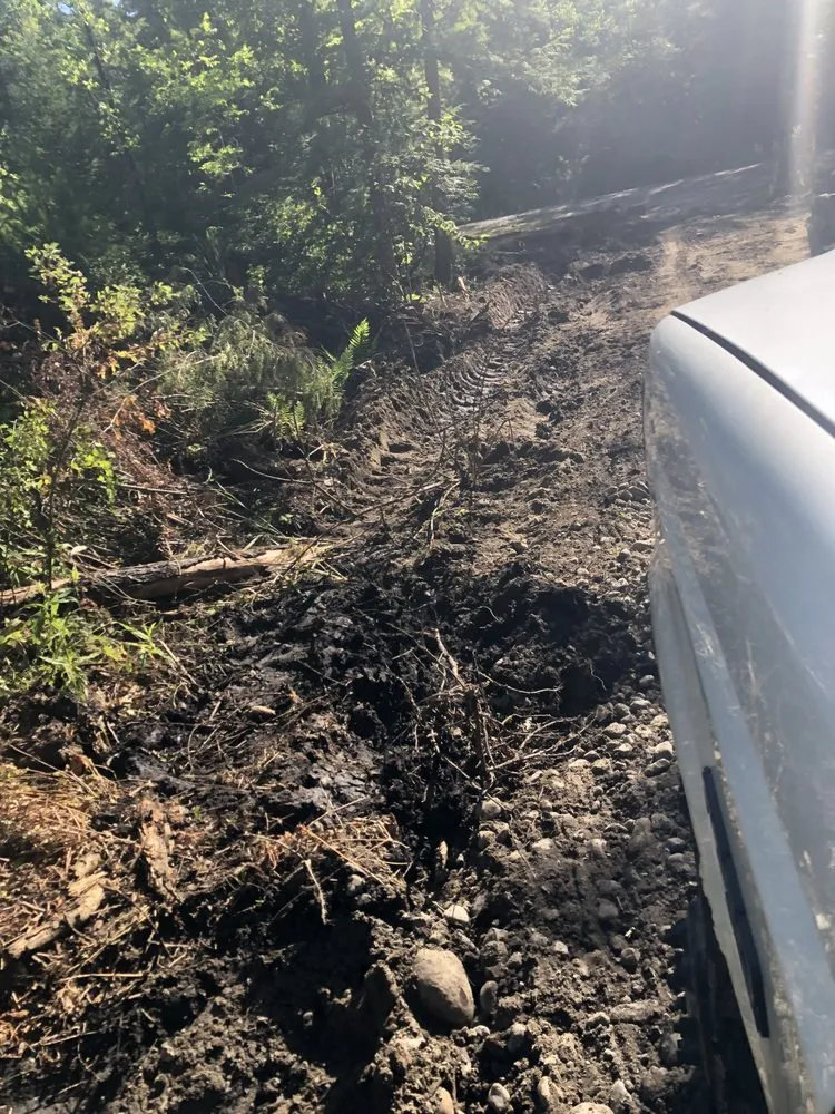 Affordable landscape installation for residential properties in Gloversville, NY by New Horizon Lawn Care & Landscaping