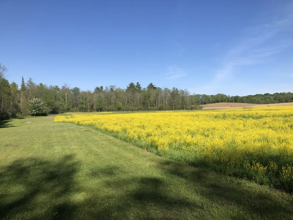 Trusted garden landscaping in Gloversville, NY - New Horizon Lawn Care & Landscaping