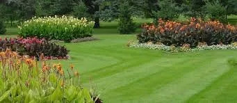 Trusted lawn care service for homes across Le Claire, IA - New Horizon Lawn Services