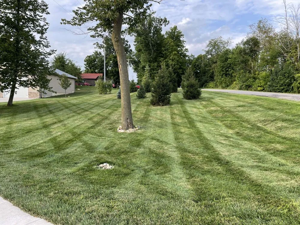 Trusted yard cleanup service experts serving Marshall, MI - New Horizon Property Management